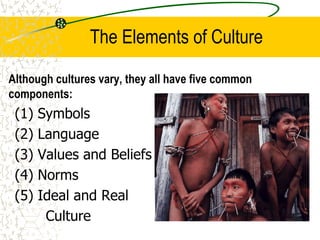The Elements of Culture
Although cultures vary, they all have five common
components:
(1) Symbols
(2) Language
(3) Values and Beliefs
(4) Norms
(5) Ideal and Real
Culture
 