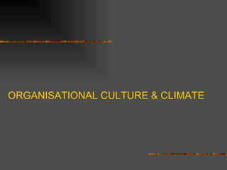 ORGANISATIONAL CULTURE & CLIMATE
 