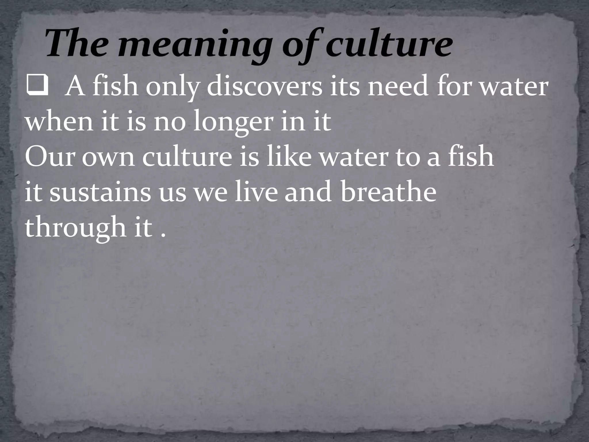 Continuous Improvement