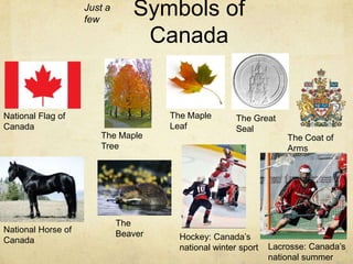 Just a
                    few
                                Symbols of
                                 Canada


National Flag of                      The Maple        The Great
Canada                                Leaf             Seal
                       The Maple                                    The Coat of
                       Tree                                         Arms




                             The
National Horse of            Beaver
Canada                                  Hockey: Canada’s
                                        national winter sport   Lacrosse: Canada’s
                                                                national summer
 