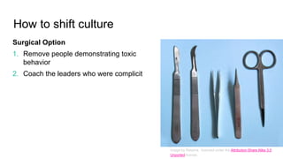 How to shift culture
Surgical Option
1. Remove people demonstrating toxic
behavior
2. Coach the leaders who were complicit
Image by Retama, licensed under the Attribution-Share Alike 3.0
Unported license.
 