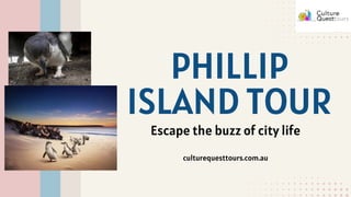 PHILLIP
ISLAND TOUR
culturequesttours.com.au
Escape the buzz of city life
 