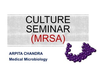 CULTURE
SEMINAR
(MRSA)
ARPITA CHANDRA
Medical Microbiology
 