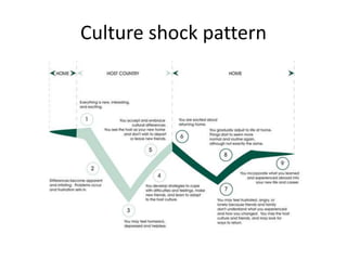 Culture shock pattern
 