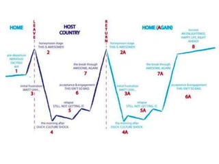 Mega Goals:  Culture Shock