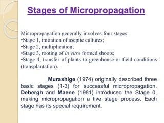 Culture stage 1 initiation stage | PPTX