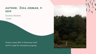 Forest covers 60% of Slovenian land
and it’s used for recreative purpose.
AUTHOR:  ŽIGA JERMAN, ©
2019
Country: Slovenia
 Forest
 