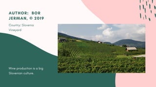 Wine production is a big
Slovenian culture.
AUTHOR:  BOR
JERMAN, © 2019
Country: Slovenia
Vineyard
 
