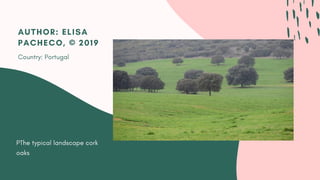 PThe typical landscape cork
oaks
AUTHOR: ELISA
PACHECO, © 2019
Country: Portugal
 