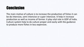 Conclusion
The main motive of culture is to increase the production of fishes it can
be do intensive, semi intensive or super intensive. It help in increase
production as well as income of farmer. It play vital role in GDP of India.
Culture system help to do culture proper and easily with the guidance
to produce more fishes in less expensive.
 