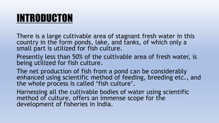 INTRODUCTON
There is a large cultivable area of stagnant fresh water in this
country in the form ponds, lake, and tanks, of which only a
small part is utilized for fish culture.
Presently less than 50% of the cultivable area of fresh water, is
being utilized for fish culture.
The net production of fish from a pond can be considerably
enhanced using scientific method of feeding, breeding etc., and
the whole process is called ‘fish culture’.
Harnessing all the cultivable bodies of water using scientific
method of culture, offers an immense scope for the
development of fisheries in India.
 