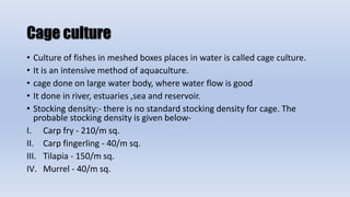 Fixed cage
• Fixed cage in fixed in location it can not move.
• It is used is shallow water body with water depth of 1-3m ...