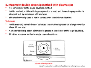 B. Maximow double coverslip method with plasma clot
 It is very similar to the single coverslip method.
 In this method, a slide with large depression is used and the entire preparation is
attached to it by petroleum jelly and wax.
 The small coverslip used is not in contact with the cavity at any time.
Technique
 In this method, a small drop of balanced salt solution is placed on a large coverslip
about 40 mm size.
 A smaller coverslip about 22mm size is placed in the center of the large coverslip.
 All other steps are similar to single coverslip culture.
Double coverslip culture
https://www.slideshare.net/BirenDaftary88/animal-cell-amp-tissue-culture
 