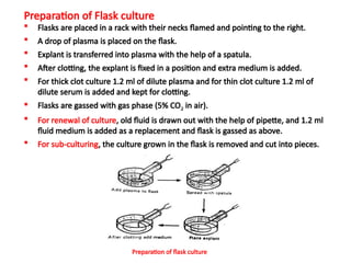 Preparation of Flask culture
 Flasks are placed in a rack with their necks flamed and pointing to the right.
 A drop of plasma is placed on the flask.
 Explant is transferred into plasma with the help of a spatula.
 After clotting, the explant is fixed in a position and extra medium is added.
 For thick clot culture 1.2 ml of dilute plasma and for thin clot culture 1.2 ml of
dilute serum is added and kept for clotting.
 Flasks are gassed with gas phase (5% CO2 in air).
 For renewal of culture, old fluid is drawn out with the help of pipette, and 1.2 ml
fluid medium is added as a replacement and flask is gassed as above.
 For sub-culturing, the culture grown in the flask is removed and cut into pieces.
Preparation of flask culture
 