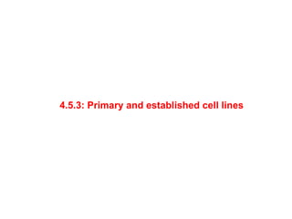 4.5.3: Primary and established cell lines
 