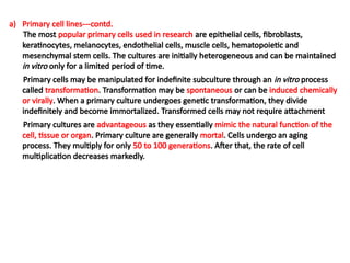 a) Primary cell lines---contd.
The most popular primary cells used in research are epithelial cells, fibroblasts,
keratinocytes, melanocytes, endothelial cells, muscle cells, hematopoietic and
mesenchymal stem cells. The cultures are initially heterogeneous and can be maintained
in vitro only for a limited period of time.
Primary cells may be manipulated for indefinite subculture through an in vitro process
called transformation. Transformation may be spontaneous or can be induced chemically
or virally. When a primary culture undergoes genetic transformation, they divide
indefinitely and become immortalized. Transformed cells may not require attachment
Primary cultures are advantageous as they essentially mimic the natural function of the
cell, tissue or organ. Primary culture are generally mortal. Cells undergo an aging
process. They multiply for only 50 to 100 generations. After that, the rate of cell
multiplication decreases markedly.
 
