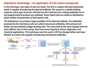 Hybridoma Technology – An application of Cell culture incorporate
In this technique, two types of cells are fused. The first is a spleen-derived lymphocyte
which is capable of producing the desired antibody. The second is a rapidly dividing
myeloma cell (a type of cancer cell) that has the machinery for making antibodies but is
not programmed to produce any antibody. These hybird cells are called as Hybridomas
which exhibit characteristics of both parent cells.
The hybridomas can produce large quantities of the desired antibody. The antibodies
produced by the hybridoma cells are called monoclonal antibodies. Monoclonal anti
bodies all have identical antigen binding sites. Thus they bind to the same epitope with the
same affinity. Due to their purity, they have many important clinical, diagnostic, and
industrial applications. This technique was first used in 1975 by George Kohler and Cesar
Milstein to create cells capable of producing monoclonal antibodies.
 