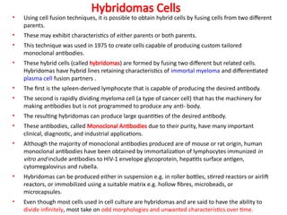 Hybridomas Cells
• Using cell fusion techniques, it is possible to obtain hybrid cells by fusing cells from two different
parents.
• These may exhibit characteristics of either parents or both parents.
• This technique was used in 1975 to create cells capable of producing custom tailored
monoclonal antibodies.
• These hybrid cells (called hybridomas) are formed by fusing two different but related cells.
Hybridomas have hybrid lines retaining characteristics of immortal myeloma and differentiated
plasma cell fusion partners .
• The first is the spleen-derived lymphocyte that is capable of producing the desired antibody.
• The second is rapidly dividing myeloma cell (a type of cancer cell) that has the machinery for
making antibodies but is not programmed to produce any anti- body.
• The resulting hybridomas can produce large quantities of the desired antibody.
• These antibodies, called Monoclonal Antibodies due to their purity, have many important
clinical, diagnostic, and industrial applications.
• Although the majority of monoclonal antibodies produced are of mouse or rat origin, human
monoclonal antibodies have been obtained by immortalization of lymphocytes immunized in
vitro and include antibodies to HIV-1 envelope glycoprotein, hepatitis surface antigen,
cytomegalovirus and rubella.
• Hybridomas can be produced either in suspension e.g. in roller bottles, stirred reactors or airlift
reactors, or immobilized using a suitable matrix e.g. hollow fibres, microbeads, or
microcapsules.
• Even though most cells used in cell culture are hybridomas and are said to have the ability to
divide infinitely, most take on odd morphologies and unwanted characteristics over time.
 