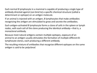 Each normal B lymphocyte in a mammal is capable of producing a single type of
antibody directed against (can bind to) a specific chemical structure (called a
determinant or epitope) on an antigen molecule.
If an animal is injected with an antigen, B lymphocytes that make antibodies
recognizing the antigen are stimulated to grow and secrete the antibodies.
Each antigen-activated B lymphocyte forms a clone of cells in the spleen or lymph
nodes, with each cell of the clone producing the identical antibody—that is, a
monoclonal antibody.
Because most natural antigens contain multiple epitopes, exposure of an
animal to an antigen usually stimulates the formation of multiple different B-
lymphocyte clones, each producing a different antibody.
The resulting mixture of antibodies that recognize different epitopes on the same
antigen is said to be polyclonal.
 
