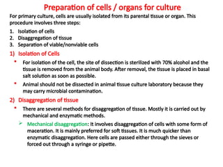 Preparation of cells / organs for culture
For primary culture, cells are usually isolated from its parental tissue or organ. This
procedure involves three steps:
1. Isolation of cells
2. Disaggregation of tissue
3. Separation of viable/nonviable cells
1) Isolation of Cells
 For isolation of the cell, the site of dissection is sterilized with 70% alcohol and the
tissue is removed from the animal body. After removal, the tissue is placed in basal
salt solution as soon as possible.
 Animal should not be dissected in animal tissue culture laboratory because they
may carry microbial contamination.
2) Disaggregation of tissue
 There are several methods for disaggregation of tissue. Mostly it is carried out by
mechanical and enzymatic methods.
 Mechanical disaggregation: It involves disaggregation of cells with some form of
maceration. It is mainly preferred for soft tissues. It is much quicker than
enzymatic disaggregation. Here cells are passed either through the sieves or
forced out through a syringe or pipette.
 