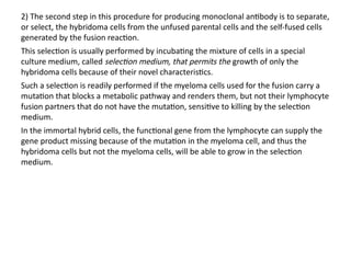 2) The second step in this procedure for producing monoclonal antibody is to separate,
or select, the hybridoma cells from the unfused parental cells and the self-fused cells
generated by the fusion reaction.
This selection is usually performed by incubating the mixture of cells in a special
culture medium, called selection medium, that permits the growth of only the
hybridoma cells because of their novel characteristics.
Such a selection is readily performed if the myeloma cells used for the fusion carry a
mutation that blocks a metabolic pathway and renders them, but not their lymphocyte
fusion partners that do not have the mutation, sensitive to killing by the selection
medium.
In the immortal hybrid cells, the functional gene from the lymphocyte can supply the
gene product missing because of the mutation in the myeloma cell, and thus the
hybridoma cells but not the myeloma cells, will be able to grow in the selection
medium.
 