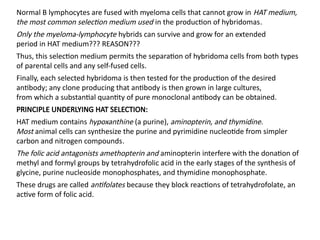 Normal B lymphocytes are fused with myeloma cells that cannot grow in HAT medium,
the most common selection medium used in the production of hybridomas.
Only the myeloma-lymphocyte hybrids can survive and grow for an extended
period in HAT medium??? REASON???
Thus, this selection medium permits the separation of hybridoma cells from both types
of parental cells and any self-fused cells.
Finally, each selected hybridoma is then tested for the production of the desired
antibody; any clone producing that antibody is then grown in large cultures,
from which a substantial quantity of pure monoclonal antibody can be obtained.
PRINCIPLE UNDERLYING HAT SELECTION:
HAT medium contains hypoxanthine (a purine), aminopterin, and thymidine.
Most animal cells can synthesize the purine and pyrimidine nucleotide from simpler
carbon and nitrogen compounds.
The folic acid antagonists amethopterin and aminopterin interfere with the donation of
methyl and formyl groups by tetrahydrofolic acid in the early stages of the synthesis of
glycine, purine nucleoside monophosphates, and thymidine monophosphate.
These drugs are called antifolates because they block reactions of tetrahydrofolate, an
active form of folic acid.
 