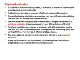 Polyclonal antibodies
 If an animal is immunized with a protein, a wide array of B cells will be stimulated
to produce anti-protein antibodies.
 Antibodies may be made to a number of different epitopes of the protein.
 Even antibodies that bind to the same epitope may have different antigen-binding
sites and bind the epitope with different affinity.
 The mixture of antibodies produced in response to an antigen are referred to as
polyclonal antibodies (they are produced by many different clones of B cells).
 Polyclonal antibodies are a mixture of antibodies with different antigen binding
sites that may bind to different epitopes or antigens of the immunizing agent with
varying affinities. They may be of different antibody classes.
 The serum obtained from an immunized animal is referred to as a polyclonal
antiserum.
 A polyclonal antiserum contains antibody to different epitopes and different
antigens that were present in the immunizing inoculum.
 