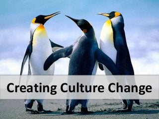 Creating Culture Change 
 
