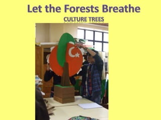 Culture trees