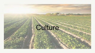 Culture
 