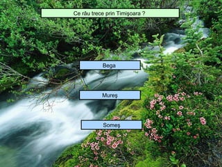 Ce râu trece prin Timişoara ?




           Bega




           Mureş




           Someş
 