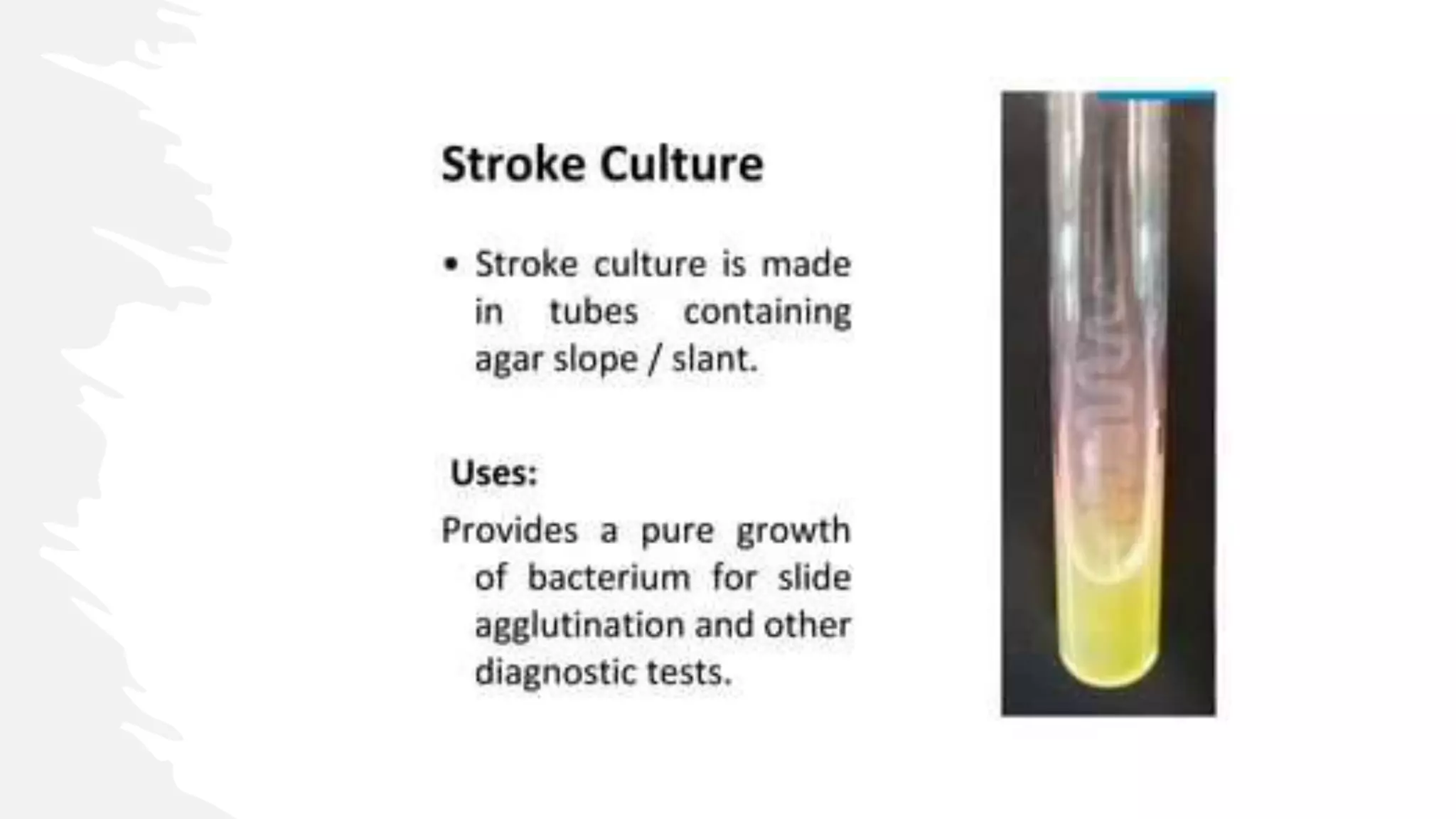Culturing and inculation techniques used in Bacteriology.pptm.pptx