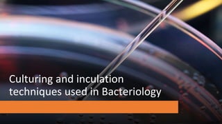Culturing and inculation
techniques used in Bacteriology
 
