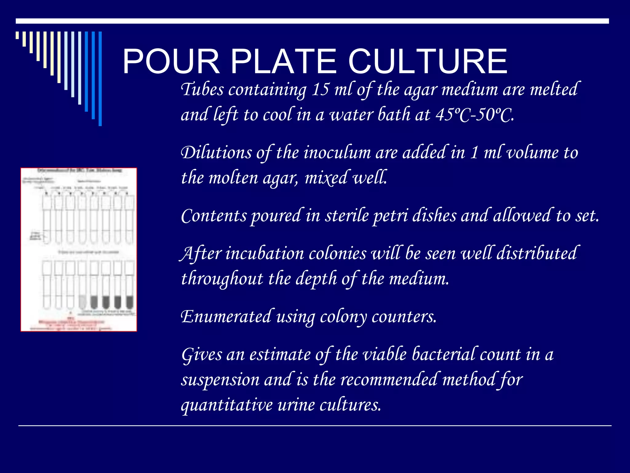 POUR PLATE CULTURE
Tubes containing 15 ml of the agar medium are melted
and left to cool in a water bath at 45ºC-50ºC.
Dilutions of the inoculum are added in 1 ml volume to
the molten agar, mixed well.
Contents poured in sterile petri dishes and allowed to set.
After incubation colonies will be seen well distributed
throughout the depth of the medium.
Enumerated using colony counters.
Gives an estimate of the viable bacterial count in a
suspension and is the recommended method for
quantitative urine cultures.
 