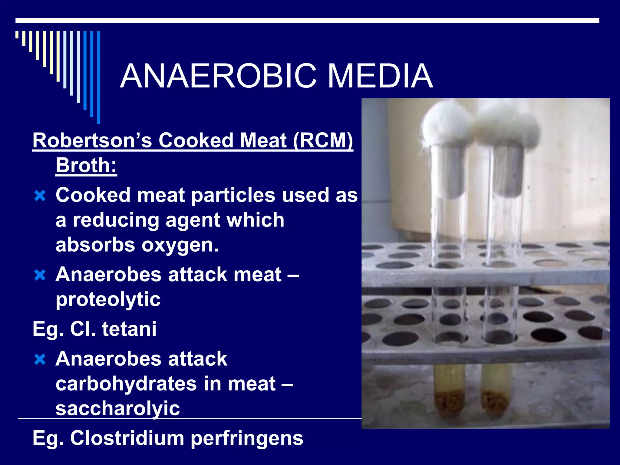 ANAEROBIC MEDIA
Robertson’s Cooked Meat (RCM)
Broth:
 Cooked meat particles used as
a reducing agent which
absorbs oxygen.
 Anaerobes attack meat –
proteolytic
Eg. Cl. tetani
 Anaerobes attack
carbohydrates in meat –
saccharolyic
Eg. Clostridium perfringens
 