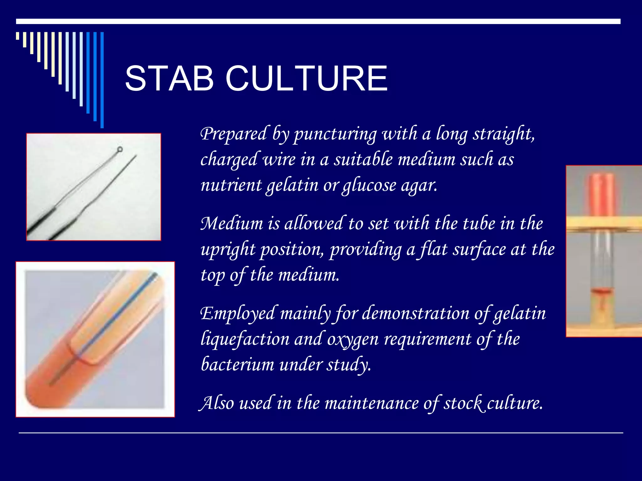 STAB CULTURE
Prepared by puncturing with a long straight,
charged wire in a suitable medium such as
nutrient gelatin or glucose agar.
Medium is allowed to set with the tube in the
upright position, providing a flat surface at the
top of the medium.
Employed mainly for demonstration of gelatin
liquefaction and oxygen requirement of the
bacterium under study.
Also used in the maintenance of stock culture.
 