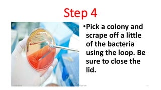Step 4
•Pick a colony and
scrape off a little
of the bacteria
using the loop. Be
sure to close the
lid.
21-02-2016 Dr T.V.Rao MD 11
 