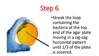 Step 6
•Streak the loop
containing the
bacteria at the top
end of the agar plate
moving in a zig-zag
horizontal pattern
until 1/3 of the plate
is covered.21-02-2016 Dr T.V.Rao MD 13
 