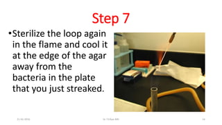 Step 7
•Sterilize the loop again
in the flame and cool it
at the edge of the agar
away from the
bacteria in the plate
that you just streaked.
21-02-2016 Dr T.V.Rao MD 14
 