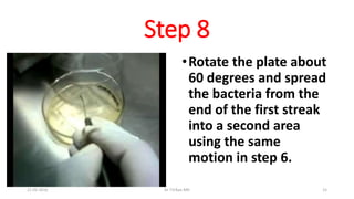 Step 8
•Rotate the plate about
60 degrees and spread
the bacteria from the
end of the first streak
into a second area
using the same
motion in step 6.
21-02-2016 Dr T.V.Rao MD 15
 