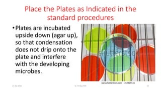 Place the Plates as Indicated in the
standard procedures
•Plates are incubated
upside down (agar up),
so that condensation
does not drip onto the
plate and interfere
with the developing
microbes.
21-02-2016 Dr T.V.Rao MD 19
 