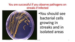 You are successful if you observe pathogens on
streaks if Infected
•You should see
bacterial cells
growing in
streaks and in
isolated areas
21-02-2016 Dr T.V.Rao MD 21
 