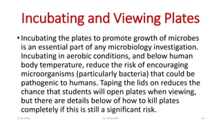 Incubating and Viewing Plates
• Incubating the plates to promote growth of microbes
is an essential part of any microbiology investigation.
Incubating in aerobic conditions, and below human
body temperature, reduce the risk of encouraging
microorganisms (particularly bacteria) that could be
pathogenic to humans. Taping the lids on reduces the
chance that students will open plates when viewing,
but there are details below of how to kill plates
completely if this is still a significant risk.
21-02-2016 Dr T.V.Rao MD 24
 