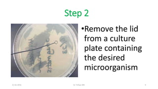 Step 2
•Remove the lid
from a culture
plate containing
the desired
microorganism
21-02-2016 Dr T.V.Rao MD 9
 