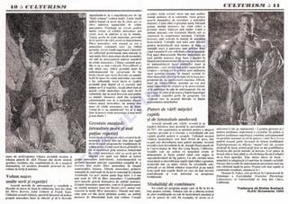 T
 O
    P
     C
        U
         LT
            U
             R
              IS
                M
                 .R
                    O
 