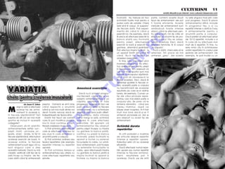 CULTURISM 5 11
                                                                                                                                                                  revist` difuzat` [i pe internet: www.culturism.freeservers.com

                                                                                                               înclinat`. Nu trebuie s` faci         parte, combini aceste dou`            nu este singurul mod prin care
                                                                                                               schimb`ri foarte mari pentru a        tipuri de antrenament, ele pot        po]i progresa. Dac` î]i place
                                                                                                               putea vorbi de varia]ie. Cheia        fi foarte eficiente. Aceste           antrenamentul dificil, include
                                                                                                               este s`-]i ]ii corpul „în suspans“    metode de antrenament sunt            în programul t`u o zi cu
                                                                                                               de fiecare dat`. Po]i experi-         am~ndou` foarte intense               repet`ri intense o dat` la 3 sau
                                                                                                               menta din c~nd în c~nd [i             atunci c~nd le efectuezi pen-         4 antrenamente pentru o
                                                                                                               exerci]ii noi. De exemplu, dac`       tru prima oar`. Ori de c~te ori       anumit` parte a corpului.
                                                                                                               î]i place s` efectuezi exerci]ii la   efectuezi un anumit tip de pro-       Dac` preferi s` efectuezi seturi




                                                                                                                                   O
                                                                                                               banca plat` sau înclinat`             gram, corpul t`u se adap-             de 10-12 repet`ri, include o zi
                                                                                                               pentru piept, efectueaz`              teaz` acestuia. Deci, dac`            în care s` nu efectuezi mai
                                                                                                               exerci]ii la bar` [i exerci]ii cu     alternezi tehnicile, î]i ]ii corpul   mult de 6 repet`ri. çn fine, nu




                                                                                                                                 .R
                                                                                                               gantere, altern~nd [edin]ele.         „în suspans“.                         este nimic r`u în schimbarea
                                                                                                               Po]i efectua mpins înclinat la          çnc` o dat`, cheia este s` le      ordinii repet`rilor în cadrul unei
                                                                                                               un aparat Smith din c~nd în           alternezi. çmi place s` m`            [edin]e de antrenament. De
                                                                                                               c~nd. Nu-]i fie team` s`              antrenez „greu“, dar acesta           exemplu, te po]i înc`lzi cu un




                                                                                                                        M
                                                                                                               amesteci exerci]iile!
                                                                                                                   çn fine, este important s`-]i
                                                                                                               inversezi programul. Nu efec-




                                                                                                               IS
                                                                                                               tua antrenament pentru piept
                                                                                                               în fiecare luni. Am observat c`
                                                                                                               cei mai mul]i sportivi sunt mai
                                                                                                               odihni]i la începutul s`pt`m~-




                                                                                                   R
                                                                                                               nii [i tind s` oboseasc` la
                                                                                                               finalul acesteia. Deci, dac` î]i
                                                                                                               antrenezi spatele în fiecare vi-




                                                                                                  U
                                                                                                               neri, aceast` parte a corpului

VARIA¥IA                                                                   Amestec` exerci]iile                nu beneficiaz` de acelea[i




                                                                                     LT
                                                                                                               rezultate pe care le-ai ob]ine
                                                                             Dac` nu-]i schimbi progra-        lunea, de exemplu. Cunosc un

cheia pentru cre[terea muscular`                                           mul frecvent, corpul t`u se va
                                                                           adapta antrenamentului [i va
                                                                                                               tip ale c`rui picioare repre-
                                                                                                               zentau cea mai slab` parte a
                                                                           c`p`ta rezisten]` în fa]a           corpului s`u. Se pare c` le
                                                                             U
                 de Jason E. Cohen    pieptul. Oamenii se simt bine        progresului. Sugerez s` faci cel    antrena s~mb`ta - c~nd era


M
         ergi la sal` [i efectuezi    c~nd respect` o anumit`              pu]in un lucru altfel la fiecare    mereu mahmur, dup` ce
         acela[i tip de antre-        rutin` [i cei mai mul]i dintre noi   antrenament - nu o schimbare        b`use vineri noaptea. Ar fi fost
                                                                     C

         nament în aceea[i zi,        devin foarte nervo[i dac` se         drastic`, dar ceva pu]in diferit.   mult mai bine dac` [i-ar fi
în fiecare s`pt`m~n`? E[ti            îndep`rteaz` de tiparul zilnic.      De exemplu, data viitoare           antrenat picioarele joi, dar el
surprins s` afli c` cei mai mul]i        Exist` trei tipuri de varia]ii    c~nd mergi la sal`, schimb`         era obi[nuit cu acest tip de
                                                             P


sportivi se includ în aceast`         care î]i pot modifica progra-        ordinea în care efectuezi           antrenament.
categorie?                            mul în mod continuu [i faci-         exerci]iile. S` spunem c`
                                               O



   Obi[nuiam s`-mi planific           liteaz` cre[terea muscular`.         antrenamentul t`u obi[nuit          Schimb` durata
antrenamentele astfel: luni -            1) Po]i schimba exerci]iile pe    pentru piept începe cu mpins       repet`rilor
piept, mar]i - picioare, joi -        care le efectuezi, ordinea lor       cu gantere la banca plat`,
                                              T




spate, vineri - bra]e, la fel în      sau ziua în care antrenezi o         continui cu pres` la banca            Ai citit probabil o mul]ime
fiecare s`pt`m~n`, efectu~nd          anumit` parte a corpului.            înclinat`, pres` înclinat` la       de articole despre repet`ri
acelea[i exerci]ii de baz`, în           2) Po]i schimba ordinea sau       aparat [i închei cu extensii        intense [i repet`ri u[oare.
aceea[i ordine, la fiecare            tiparul repet`rilor (de exemplu      încruci[ate la cablu. La urm`-      Adev`rul este c` au aceea[i
antrenament [i sunt sigur c` nu       repet`ri intense cu repet`ri         torul antrenament, po]i începe      eficien]`.
sunt singurul care a ales             u[oare).                             cu extensiile încruci[ate la          Dac` efectuezi numai repe-
aceast` metod`. Dac` nu m`               3) Po]i schimba tempo-ul          cablu, apoi efectueaz` mpins       t`ri u[oare sau numai repet`ri
crede]i, verifica]i c~]i tipi de la   antrenamentului sau viteza cu        cu gantere la banca plat` [i        intense la fiecare antrena-
sal` încep cu mpins de fie-          care efectuezi repet`rile sau        impins înclinat la aparat [i        ment, rezultatele pot fi
care dat` c~nd î[i antreneaz`         seturile.                            încheie cu mpins la banca          acelea[i. Dac`, pe de alt`
 