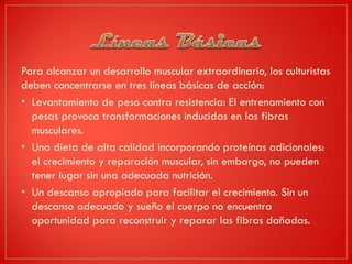 Para alcanzar un desarrollo muscular extraordinario, los culturistas
deben concentrarse en tres líneas básicas de acción:
• Levantamiento de peso contra resistencia: El entrenamiento con
pesas provoca transformaciones inducidas en las fibras
musculares.
• Una dieta de alta calidad incorporando proteínas adicionales:
el crecimiento y reparación muscular, sin embargo, no pueden
tener lugar sin una adecuada nutrición.
• Un descanso apropiado para facilitar el crecimiento. Sin un
descanso adecuado y sueño el cuerpo no encuentra
oportunidad para reconstruir y reparar las fibras dañadas.
 