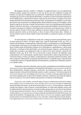 En lenguaje culturista, ‘hombro’ y ‘deltoides’ se emplean muchas veces con significación
sinónima porque, aunque este músculo es sólo uno de los seis que componen el grupo del
hombro, es el que da el verdadero tono a su desarrollo. El deltoides es un músculo voluminoso y
triangular que envuelve la articulación del hombro y constituye un factor de primera importancia
en la estabilización y cohesión de la misma. Cada uno de sus tres haces se origina en un tercio
distinto del borde de la articulación acromioclavicular -la formada por el omóplato y la clavícula-
que discurre por encima de la cavidad glenoidea, donde el húmero encaja en el omóplato: el haz
anterior surge de la clavícula; el medio, del acromion, es decir, de la protuberancia del omóplato
donde se articula la clavícula; y el haz posterior, de la espina del omóplato. Posteriormente, los
tres haces convergen en el húmero. Esta disposición lo convierte en un músculo muy versátil: la
porción anterior levanta el brazo hacia adelante; la porción media lo eleva lateralmente; y la
porción posterior realiza su retroversión, es decir, levanta el brazo hacia atrás. Además, la
sección anterior tiene un efecto rotador interno del hombro y la posterior ayuda a su rotación
externa.
En estas funciones, el deltoides no actúa solo. Aunque en la anteversión del brazo ejerce
la mayor parte de la fuerza -9,9 kg/m según Lanz, Lang & Wachsmuth (A.De. pg. 233)-, la
cabeza corta del bíceps, el supraespinoso, el pectoral mayor, el infraespinoso, el coracobraquial y
el subescapular intervienen con un poder de acción no desdeñable, 6 kg/m. En la abducción del
brazo, la parte media del deltoides colabora con el infraespinoso, supraespinoso y cabeza larga
del bíceps y, al rebasar la línea del hombro, con el pectoral mayor, trapecio y serrato anterior al
tiempo que se produce una implicación cada vez mayor de los haces anterior y posterior del
deltoides (A.De. pgs. 80 & 234). En la retroversión, la parte posterior del deltoides actúa
conjuntamente con el subescapular, redondo mayor, dorsal ancho y cabeza larga del tríceps. En
la rotación interna y externa, por último, su participación es adicional: la primera la realiza, sobre
todo, el músculo subescapular, asistido por el pectoral mayor, el redondo mayor, el dorsal ancho
y el deltoides anterior; la segunda depende del infraespinoso, ayudado por el deltoides posterior
y el redondo menor.
Traducidas a ejercicios culturistas, estas acciones se transforman en las distintas clases de
elevaciones y presses que componen el entrenamiento del hombro. Las elevaciones son de tres
tipos fundamentales: frontales, laterales y posteriores -las denominadas pájaros-, que sirven,
respectivamente al desarrollo del deltoides anterior, medio y posterior. Una forma especial de
elevaciones frontales son, sin embargo, las elevaciones cruzadas, en las que cada mancuerna se
eleva hacia adelante pero en dirección al hombro contrario: constituyen una forma de implicar
más en el ejercicio a la sección superior del pectoral y al músculo coracobraquial.
Los presses, por su parte, son de dos tipos: los que se realizan por encima de la cabeza
-press militar, press con mancuernas, press Arnold y press tras nuca- y los que se realizan por
encima del plano del cuerpo -las diversas formas del press inverso-. En los primeros, cuanto más
cerrado sea el agarre y más se fuercen, consecuentemente, los codos hacia adelante, mayor será
la implicación de la sección anterior a costa de la media, porque más se convertirá el movimiento
en una anteversión de los brazos. Éste es, de hecho, el efecto buscado por el press Arnold, una
variante del press con mancuernas en la que se parte de una disposición frontal de los pesos a la
altura de los hombros. El segundo tipo, es decir, el press inverso y sus variantes, supone también
la anteversión con extensión de los brazos y sirve, por tanto, al desarrollo de la sección anterior.
Caso aparte de presses y elevaciones son los remos con tronco erecto, útiles para el desarrollo de
103
 