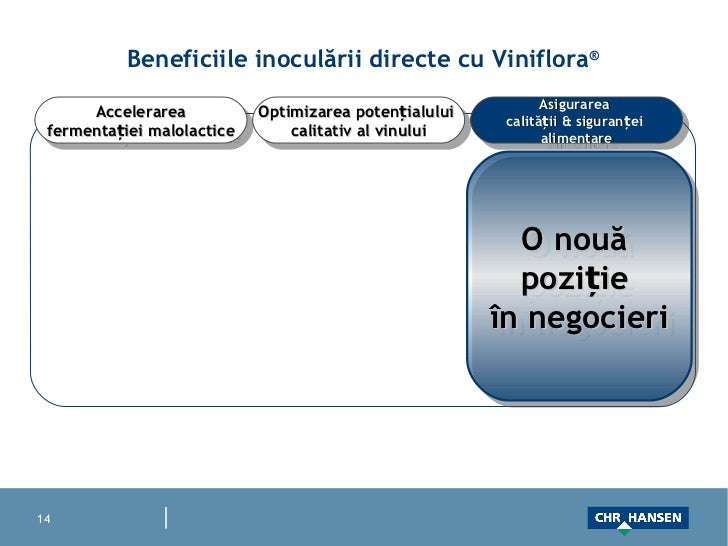 Culturi starter cu inoculare directa pentru fermentatie malolactica i…