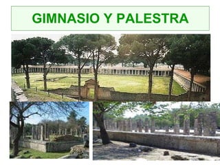 GIMNASIO Y PALESTRA 